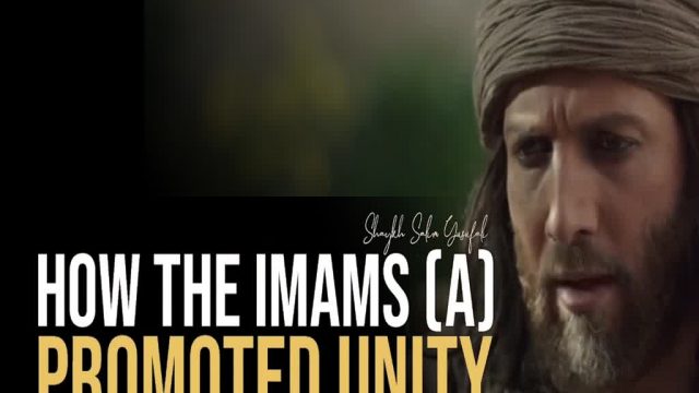 How the Infallible Imams (A) promoted Unity | Shaykh Salim Yusufali | English