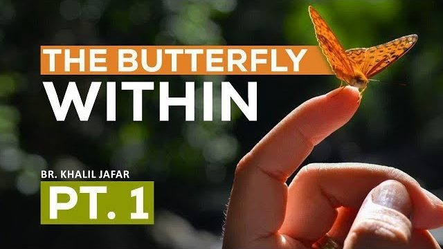 Are we Aliens in this world? | The Butterfly Within Pt. 1 | Br. Khalil Jafar | English