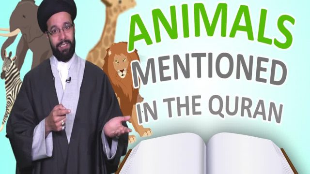 All the Animals mentioned in the Quran | One Minute Wisdom | English
