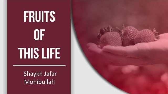 Fruits of this Life | Shaykh Jafar Mohibullah | English