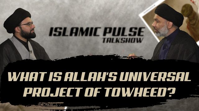 What Is Allah’s Universal Project of Towheed? | IP Talk Show | English