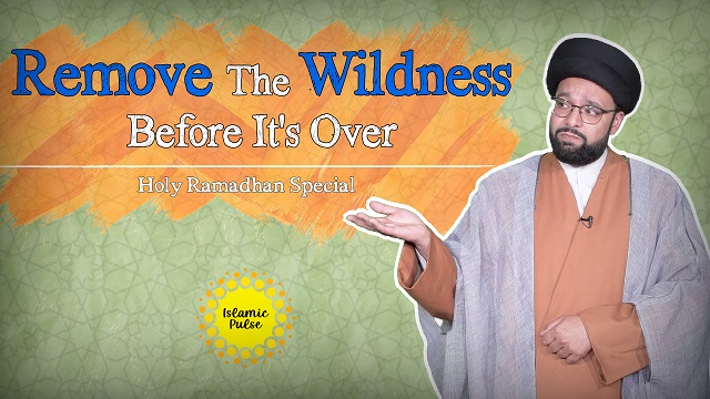Remove The Wildness Before It’s Over | One Minute Wisdom | Holy Ramadhan Special | English