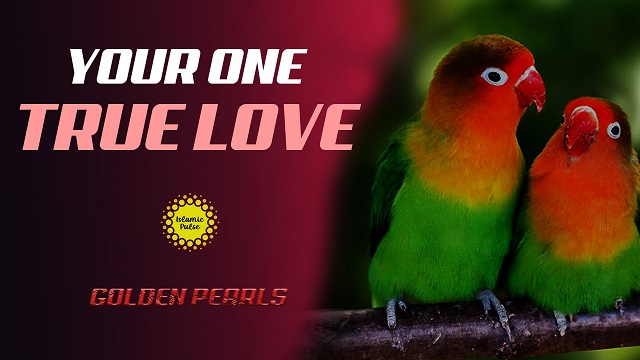 Your One True Love | Golden Pearls | English