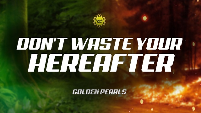 Don’t Waste Your Hereafter | Golden Pearls | English