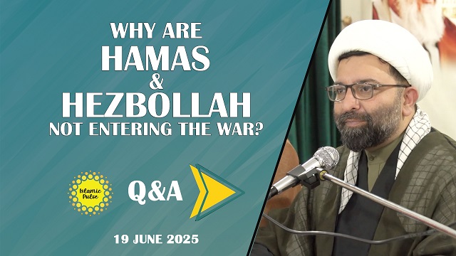 QnA | Why Are Hamas & Hezbollah Not Entering The War? | Shaykh Ali Qomi | English