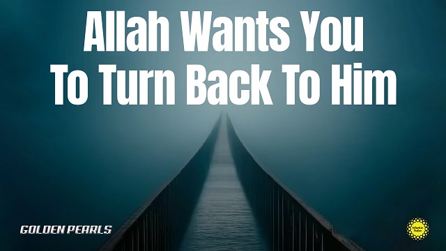 Allah Wants You To Turn Back To Him | Golden Pearls | English