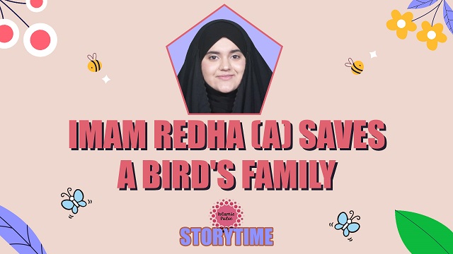Imam Redha (A) Saves A Bird’s Family | StoryTime | English