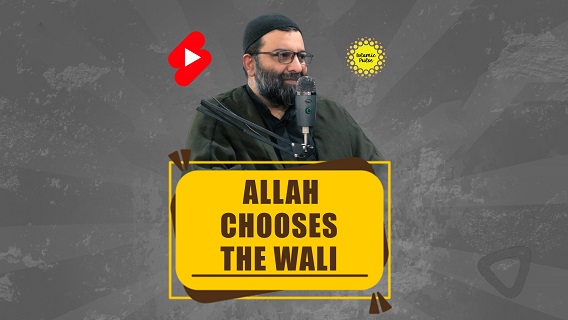 Allah Chooses The Wali | Shaykh Ali Qomi | #shorts #status #reels | English