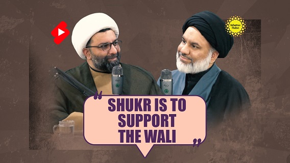 Shukr Is To Support The Wali | Sayyid Agha Ali Raza & Shaykh Ali Qomi | #shorts #status #reels | English