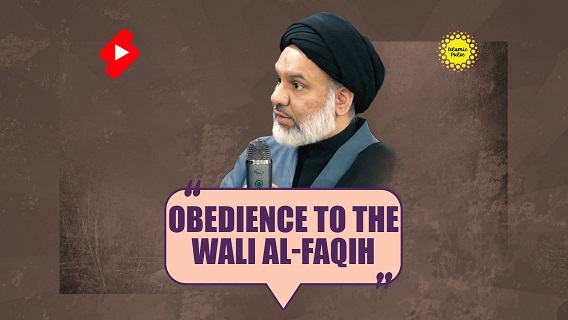 Obedience To The Wali al-Faqih | Sayyid Agha Ali Raza | #shorts #status #reels | English