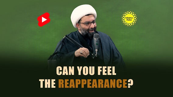 Can You Feel The Reappearance? | Shaykh Ali Qomi | #shorts #status #reels | English