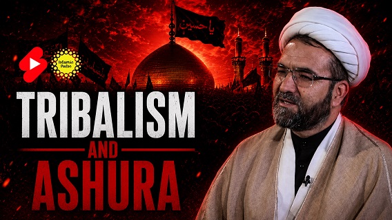 Tribalism and Ashura | Shaykh Rohullah Rohani | #shorts #status #reels | English