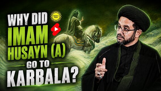 Why Did Imam Husayn (A) Go To Karbala? | Sayyid Samer al-Hakim | #shorts #status #reels | English
