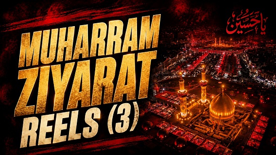 Muharram Ziyarat Reel 3 | #reels #shorts #status | English
