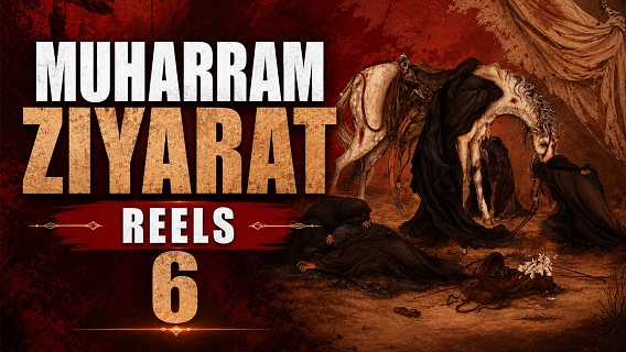 Muharram Ziyarat Reel 6 | #reels #shorts #status | English