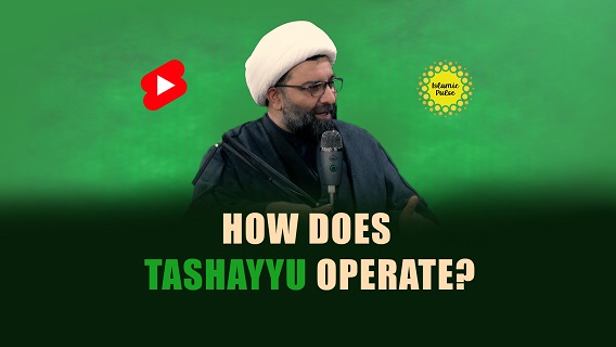How Does Tashayyu Operate? | Shaykh Ali Qomi | #shorts #status #reels | English